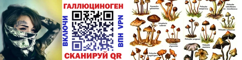 цены наркотик  Корсаков  Псилоцибиновые грибы ЛСД 